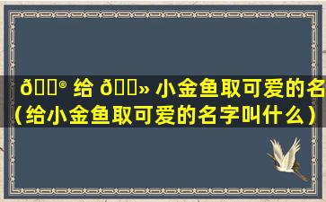 💮 给 🌻 小金鱼取可爱的名字（给小金鱼取可爱的名字叫什么）